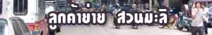 ซ่อมคอมแม้นศรี